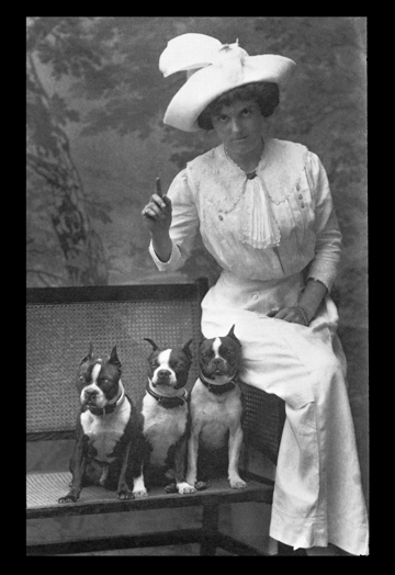 Buy Enlarge 0-587-04366-0P12x18 Mrs. Rhoades and Her Three Boston Terriers- Paper Size P12x18