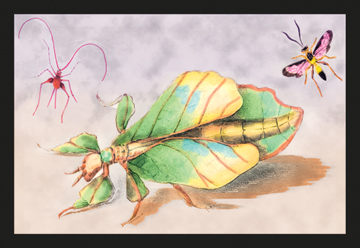 Buy Enlarge 0-587-15090-4P20x30 Three Insect Examples- Paper Size P20x30