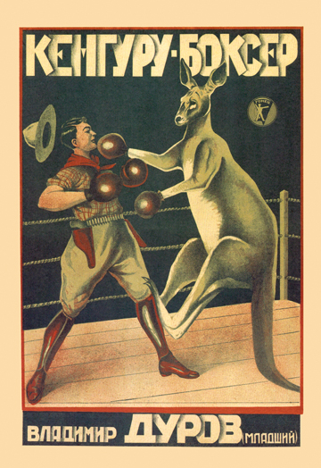 Buy Enlarge  Kangaroo Boxer- Paper Size P12x18