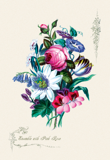 Picture of Buy Enlarge 0-587-04353-9P12x18 Ensemble with Pick Rose- Paper Size P12x18