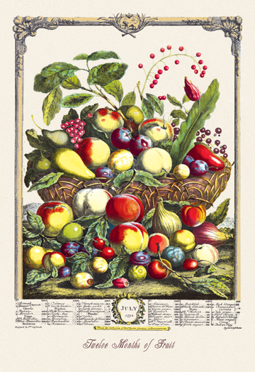 Picture of Buy Enlarge 0-587-04362-8P20x30 Large Array of Fruits- Paper Size P20x30