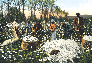 Picture of Buy Enlarge 0-587-07460-4P12x18 Cotton Field Workers- Paper Size P12x18
