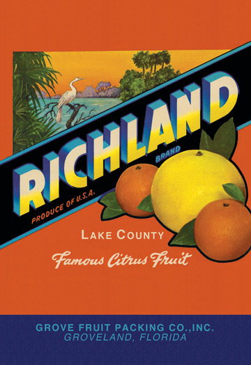 Buy Enlarge 0587128682P20x30 Richland Brand Citrus Paper Size P20x30