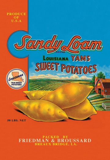 Buy Enlarge 0587128704P12x18 Sandy Loam Brand Yams Paper Size P12x18