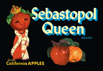 Buy Enlarge 0587128801P20x30 Sebastopol Queen Brand Apples Paper Size P20x30