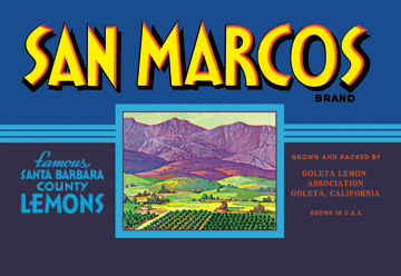 Buy Enlarge 058712881xP12x18 San Marcos Brand Lemons Paper Size P12x18