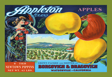 Buy Enlarge 0587128909P20x30 Appleton Brand Apples Paper Size P20x30