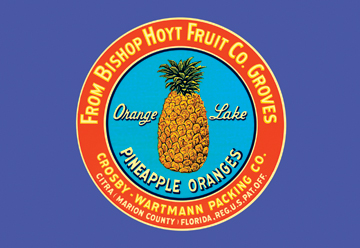 Buy Enlarge 0587128925P12x18 Orange Lake Brand Pineapples Paper Size P12x18