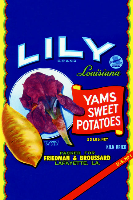 Buy Enlarge 0587219734P12x18 Lily Brand Yams Sweet Potatoes Paper Size P12x18