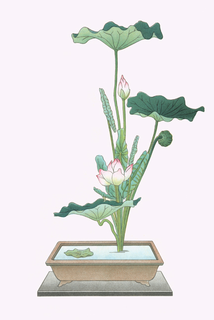 Hasu - Lotus in Sunabachi - Paper Size P12x18 - High-Quality Print