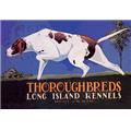 Buy Enlarge 0-587-00011-2P12x18 Thoroughbreds - Long Island Kennels- Paper Size P12x18 Buy Enlarge 0-587-00011-2P12x18 Thoroughbreds - Long Island Kennels- Paper Size P12x18