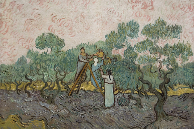 Women Picking Olives- Paper Size P12x18