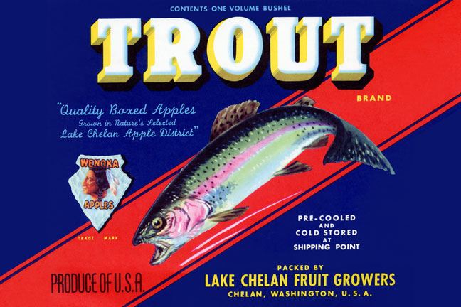 Buy Enlarge 058721953xP20x30 Trout Brand Apples Paper Size P20x30