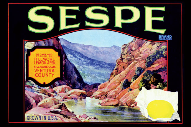 Buy Enlarge 0587219742P20x30 Sespe Brand Lemons Paper Size P20x30