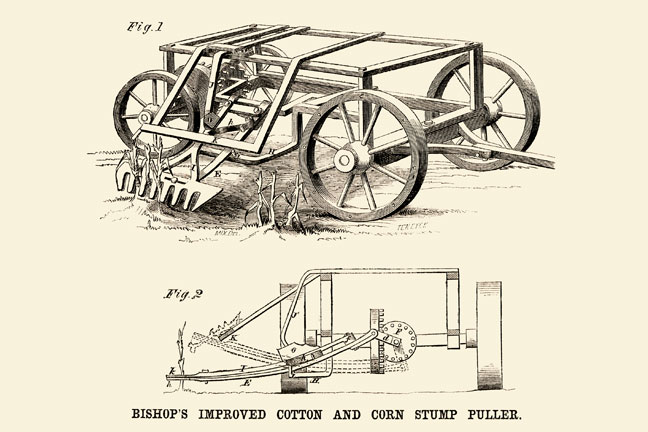 Buy Enlarge 0-587-22499-1P12x18 Bishops Improved Cotton and Corn Stump Puller- Paper Size P12x18