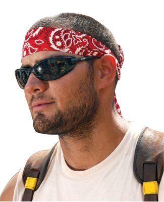 Picture of Ergodyne 150-12314 6705 Bandana - H&L - Onesize - Camo