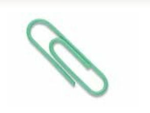 Vinyl Coated Paper Clips #1 Standard Size 500 Pack ASSORTED Colors ()
