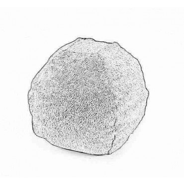 Picture of Bowsers Pet Products 13130 Small Bowser Ball Cover Only