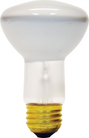 18279 2 Count 45 Watt Soft White Indoor Flood Light Bulb -  Ge Lighting