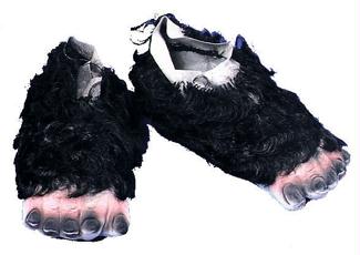 Picture of Costumes For All Occasions TH33 Gorilla Feet With Hair