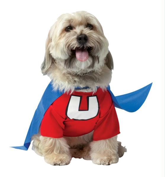 Costumes For All Occasions GC4343MD Pet Costume Underdog