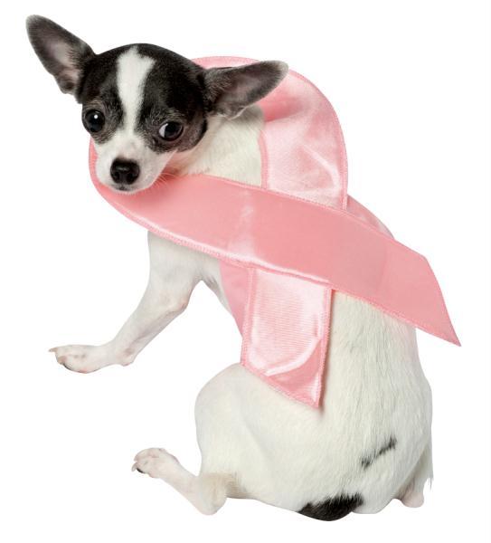 Picture of Costumes For All Occasions GC5213XS Pet Costume Pink Ribbon