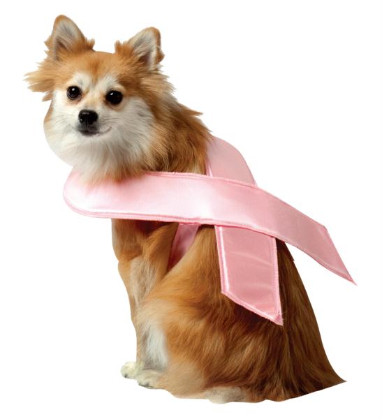 Picture of Costumes For All Occasions GC5213SM Pet Costume Pink Ribbon