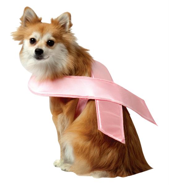 Picture of Costumes For All Occasions GC5213MD Pet Costume Pink Ribbon