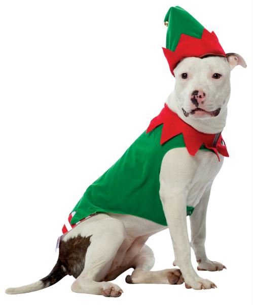 Costumes For All Occasions GC5028XL Pet Costume Elf Xl
