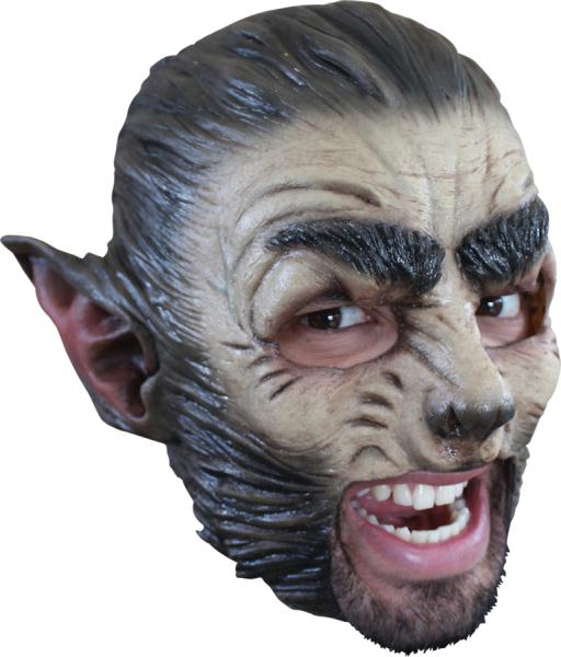 Picture of Costumes For All Occasions TB27509 Wolf Latex Mask