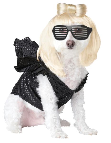Picture of Costumes For All Occasions CC20111SM Pop Sensation Pet Small