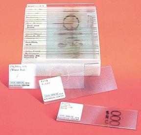 Olympia Sports 12178 Survey Slide Set - 25 Slides