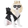 Costumes For All Occasions CC20111SM Pop Sensation Pet Small Costumes For All Occasions CC20111SM Pop Sensation Pet Small