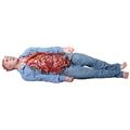 Costumes For All Occasions DU2609 Bowel Movement Animated Prop Costumes For All Occasions DU2609 Bowel Movement Animated Prop