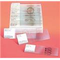 Olympia Sports 12178 Survey Slide Set - 25 Slides Olympia Sports 12178 Survey Slide Set - 25 Slides