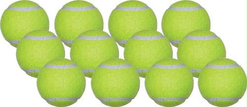 Picture of Olympia Sports BA292P Economy Practice Tennis Balls - Dozen
