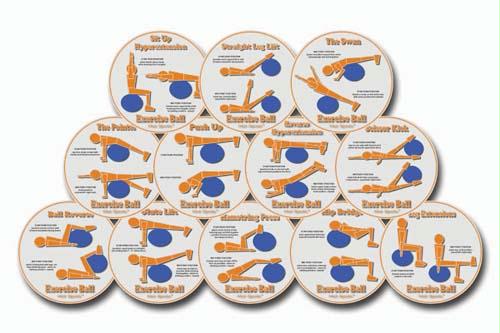 Picture of Olympia Sports GE696P Hot Spots - Exercise Ball (Set of 12)
