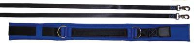 Picture of Olympia Sports GY987M Spotting &amp; Training Belt - Medium - Blue