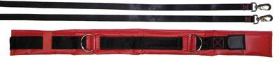 Picture of Olympia Sports GY988M Spotting &amp; Training Belt - Medium - Red
