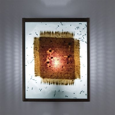 Picture of WPT Design FN2 - BZ - MB - F NTwo Fluorescent Wall Sconce - Bronze-Mesh and Bits