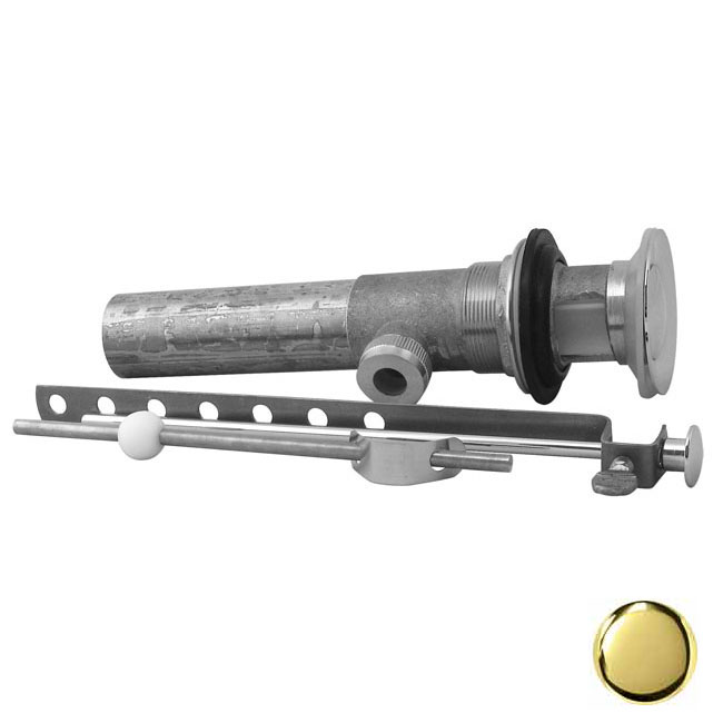 Pop-up Lav Drain with Overflow Holes - PVD Polished Brass