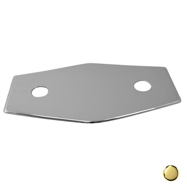 2-Hole Remodel Plate in PVD Polished Brass