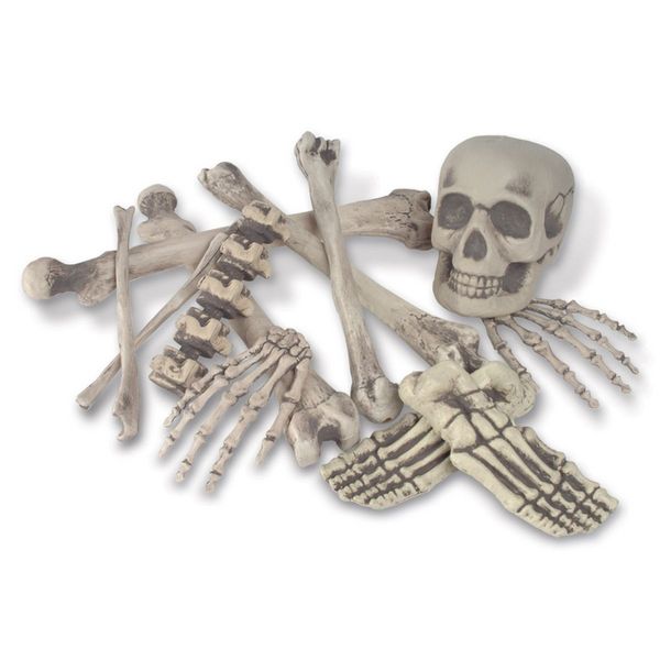 Picture of Beistle 00826 Bag O Bones - Pack of 6