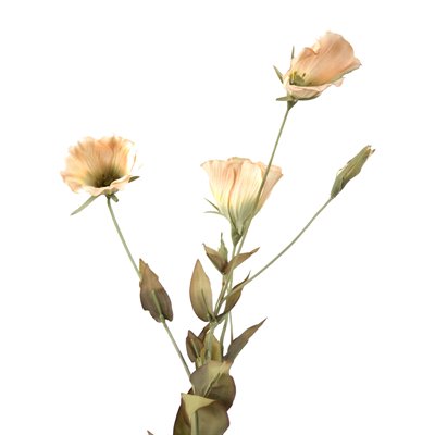 Picture of Distinctive Designs DH-440-IV DIY Flower 23 in. L Ivory Artificial Lisianthus x 3 Blooms  1 Bud  10 Leaves - Pack of 12