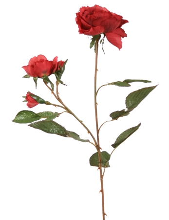 DIY Flower Cherry Red Nun Rose - Pack of 12