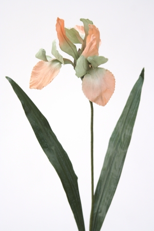 Picture of Distinctive Designs DW-987-SOCD DIY Flower Sonia Celedon Large Iris - Pack of 6