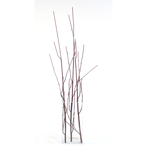 Picture of Distinctive Designs DG-789 DIY Foliage 48 in. L Artificial Brown Curly Willow Branch 72 per case - Pack of 12