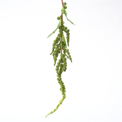 Picture of Distinctive Designs DH-470-DKGR DIY Foliage 34 in. L Artificial Dark Green Hanging Amaranthus Spray 96 per case - Pack of 12