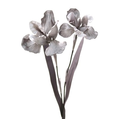 Picture of Distinctive Designs DW-876-GYDPGY DIY Flower Gray Dark Gray Double Iris - Pack of 4