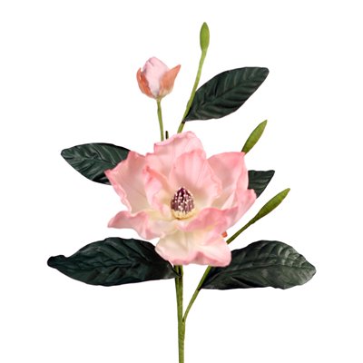 Picture of Distinctive Designs DW-850-DURO DIY Flower Dusty Rose Magnolia Grandiflora - Pack of 6